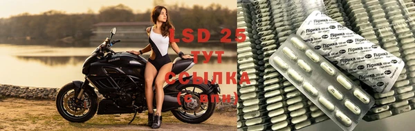 ПСИЛОЦИБИНОВЫЕ ГРИБЫ Балахна