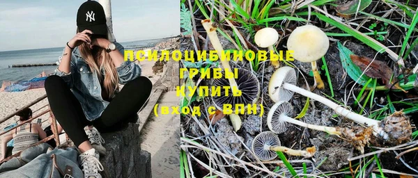 спиды Балабаново